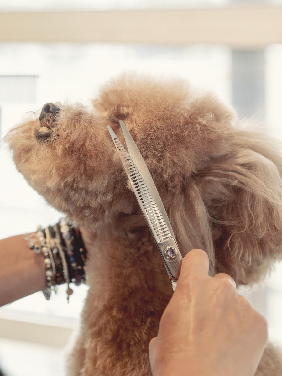 GROOMING