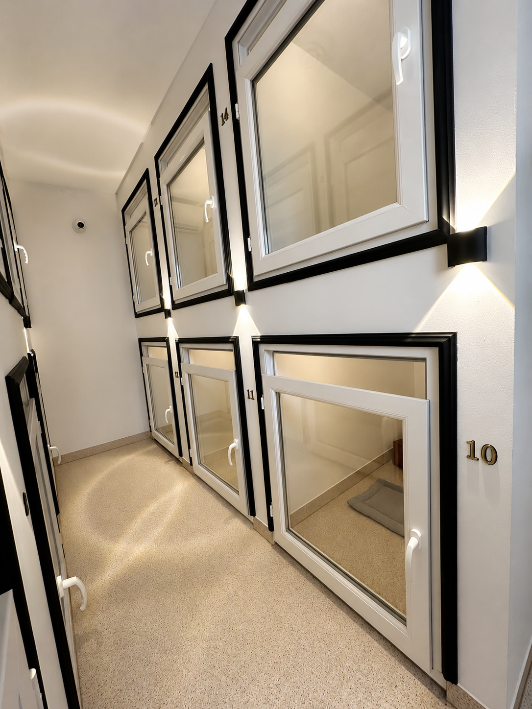 Hotel premium pentru caini si pisici Labute Fericite